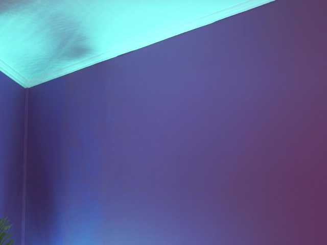 ChiaraConti live cam on BongaCams
