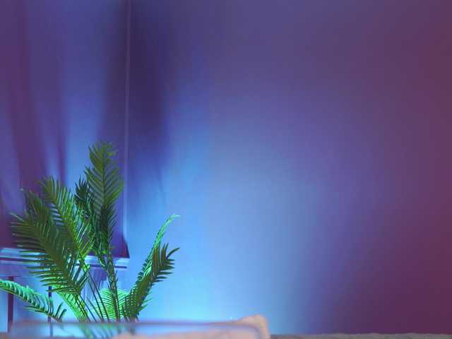 ChiaraConti live cam on BongaCams