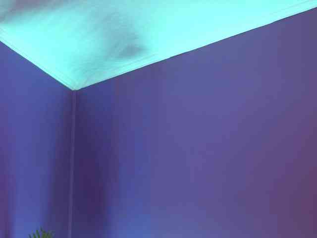 chiaraconti's live room