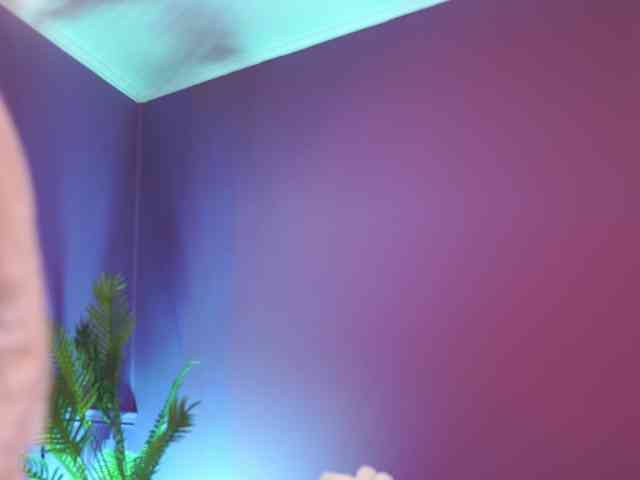 ChiaraConti webcam