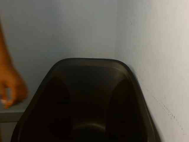 Nasty-fatpussyy webcam