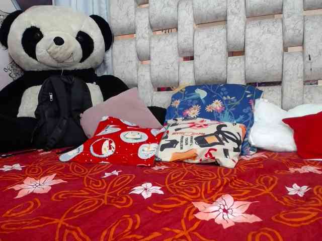 self-destruccionn webcam