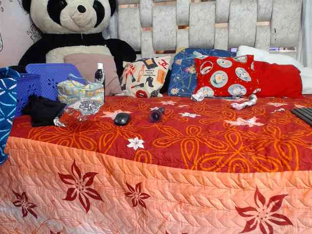 self-destruccionn webcam