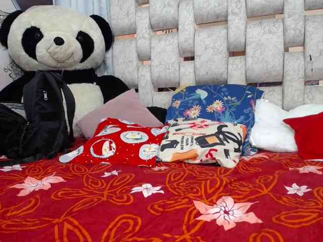 self-destruccionn webcam