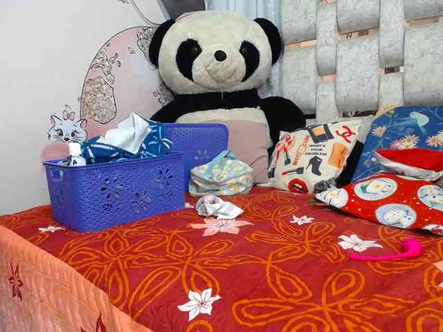 self-destruccionn webcam