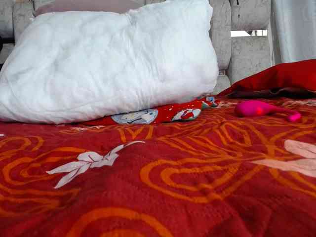 self-destruccionn webcam