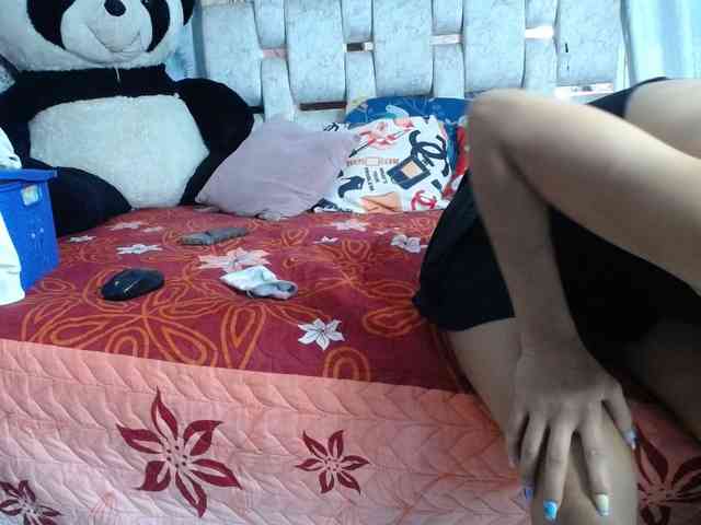 self-destruccionn webcam