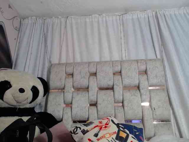 self-destruccionn webcam