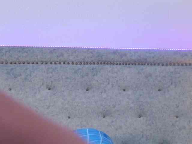 SaraThomas webcam