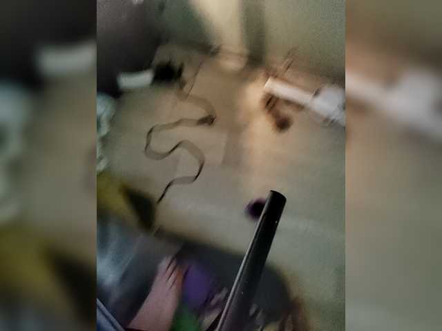 Bessandkaty55