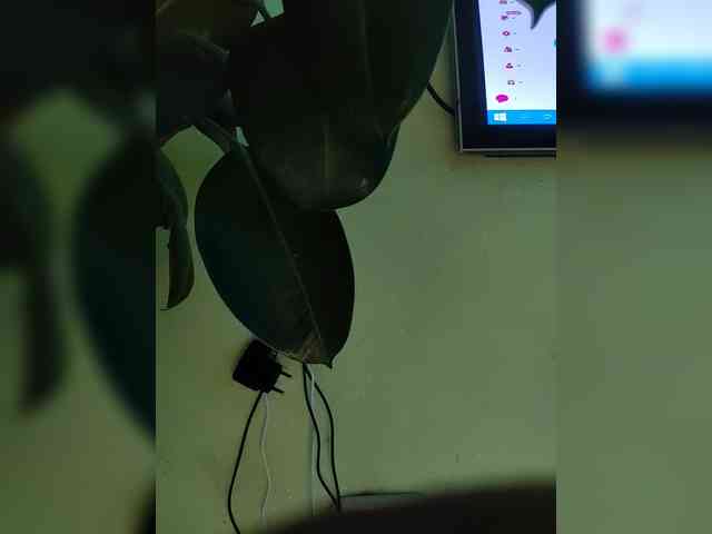 Bessandkaty55 webcam