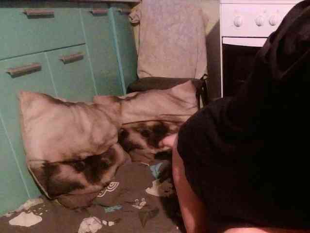 Bessandkaty55