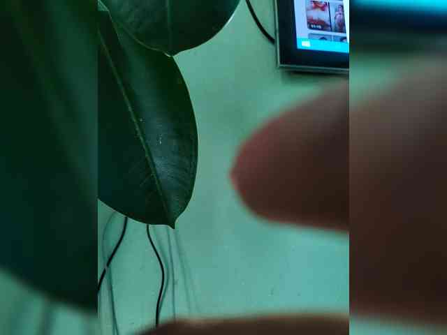 Bessandkaty55 Bessandkaty55