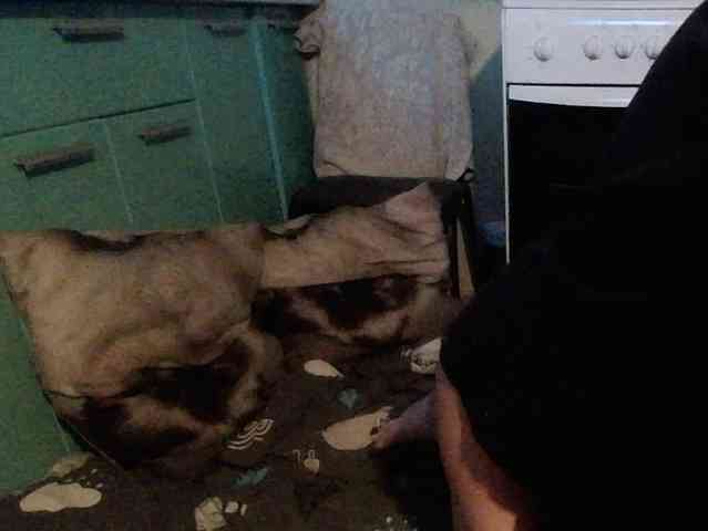 Bessandkaty55 webcam
