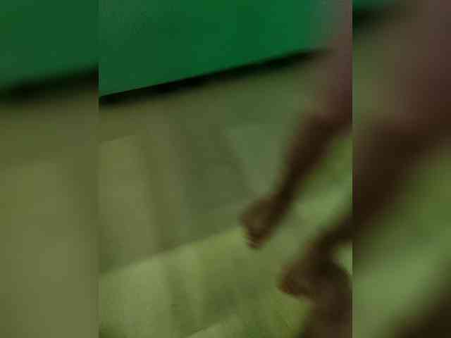 Bessandkaty55