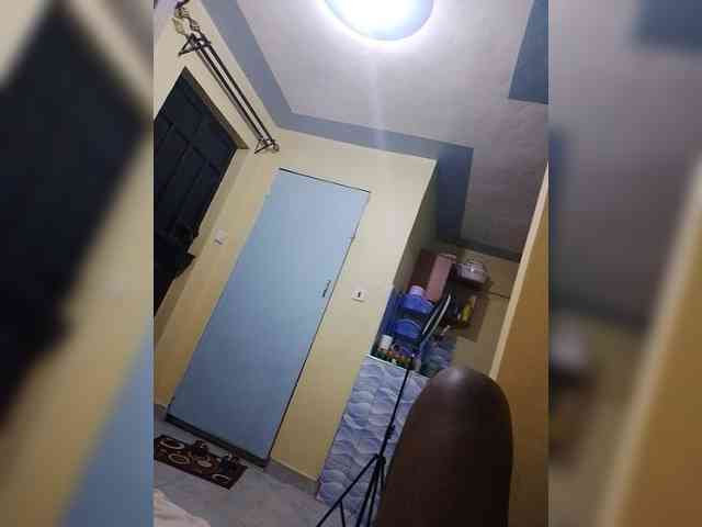 yobrakodek9-Tatsih webcam