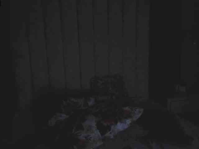 HANNA-ROUSE webcam
