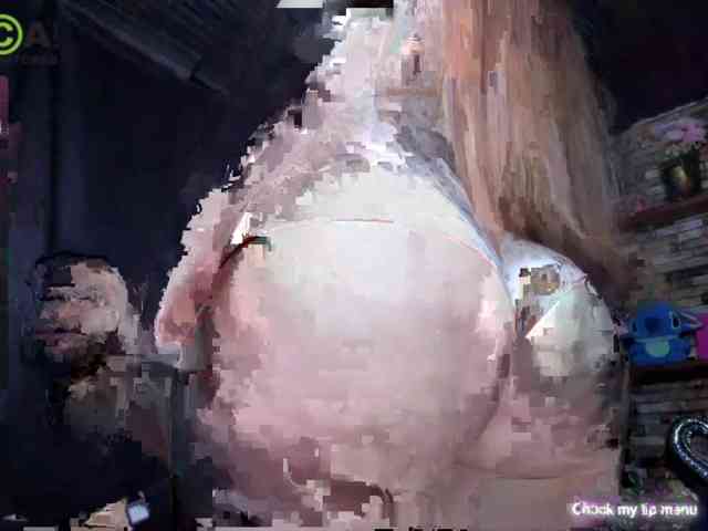 Miaxvinn webcam