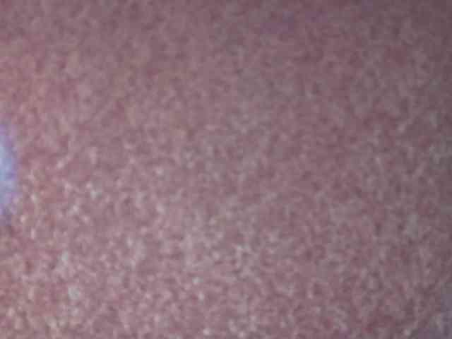KalystaSwiss webcam