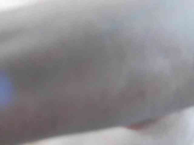 KalystaSwiss webcam
