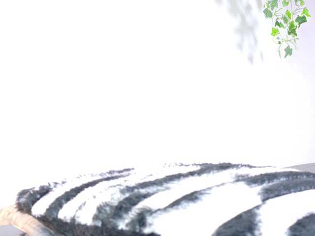 Vanessa-Mejiia live cam on BongaCams