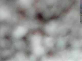 Shady-bug Porn Show