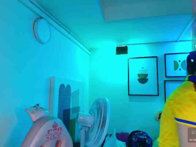 Shady-bug webcam