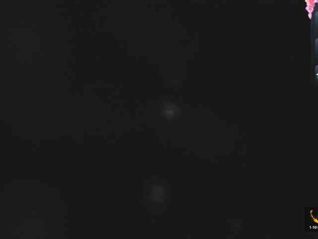 Shady-bug webcam