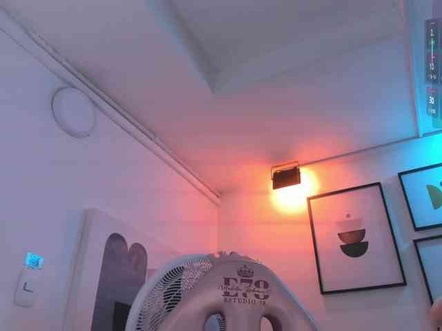 Shady-bug webcam