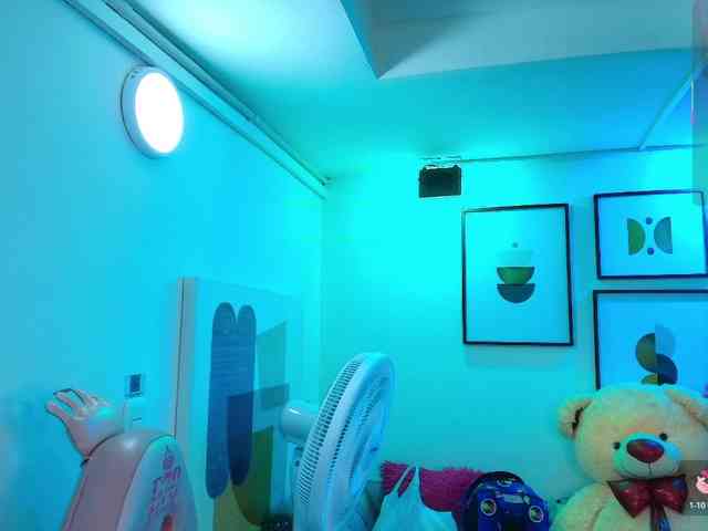 Shady-bug webcam