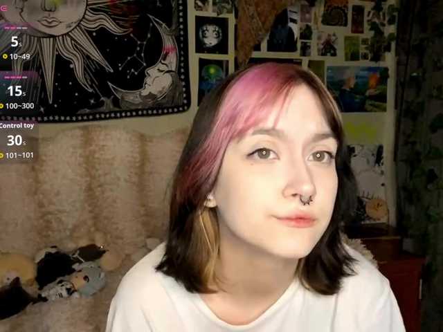 Preview of pattibingle