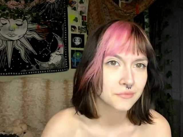 Preview of pattibingle