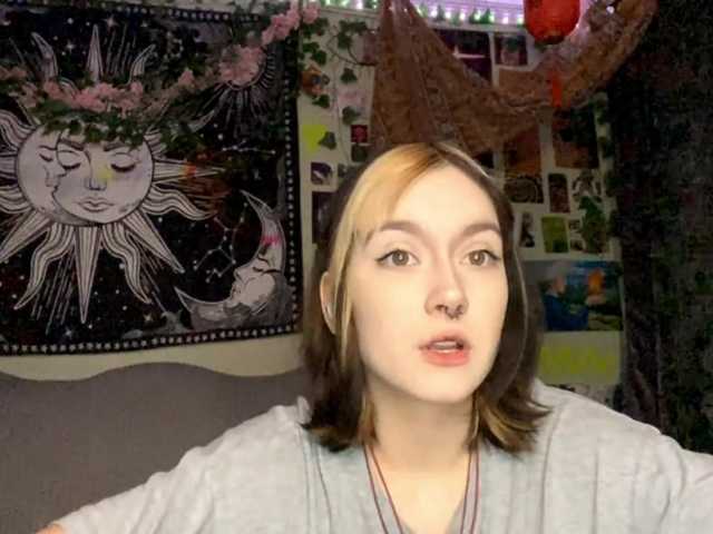 Preview of pattibingle