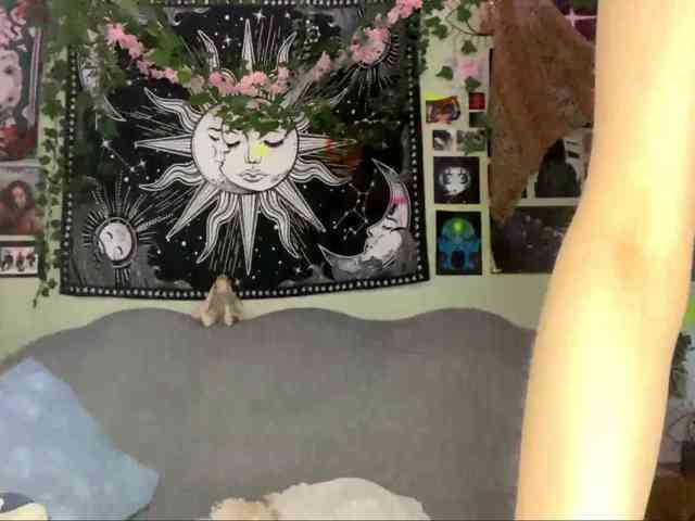 PattiBingle webcam