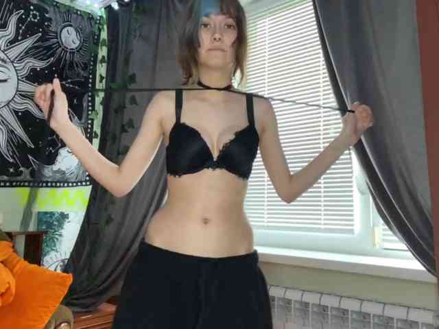 Modelo: PattiBingle