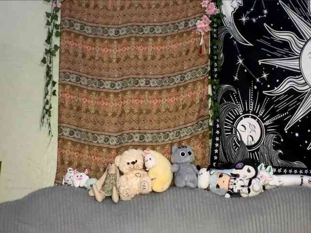PattiBingle webcam