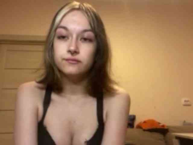 Modelo: PattiBingle