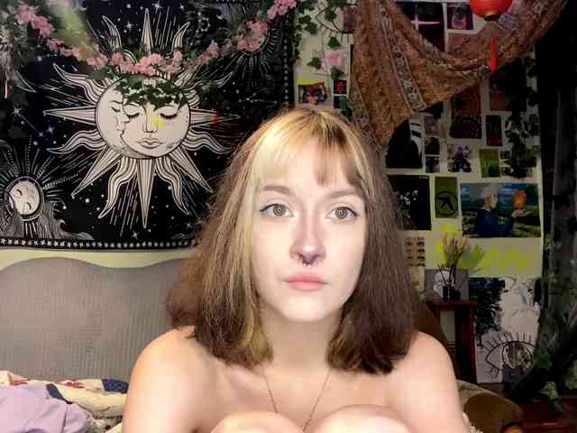Modelo: PattiBingle