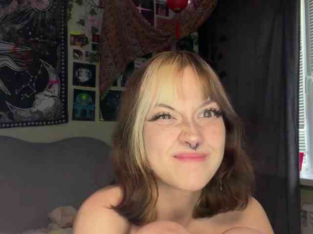 Modelo: PattiBingle