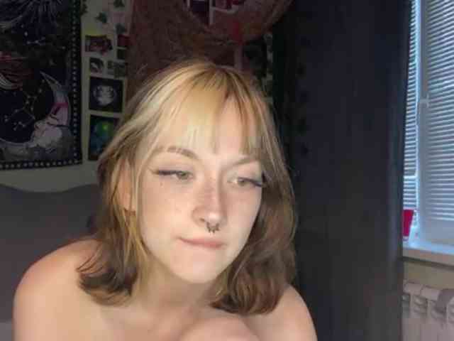 Modelo: PattiBingle