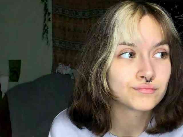 Modelo: PattiBingle