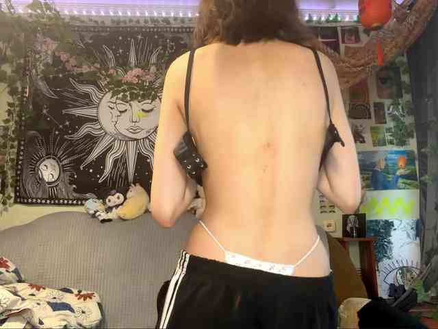 PattiBingle webcam