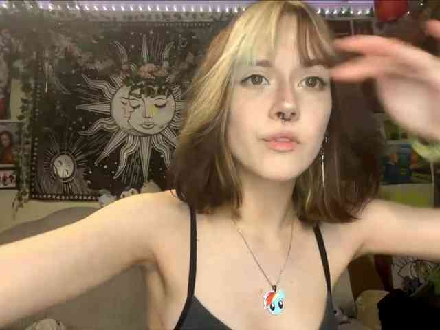 Modelo: PattiBingle