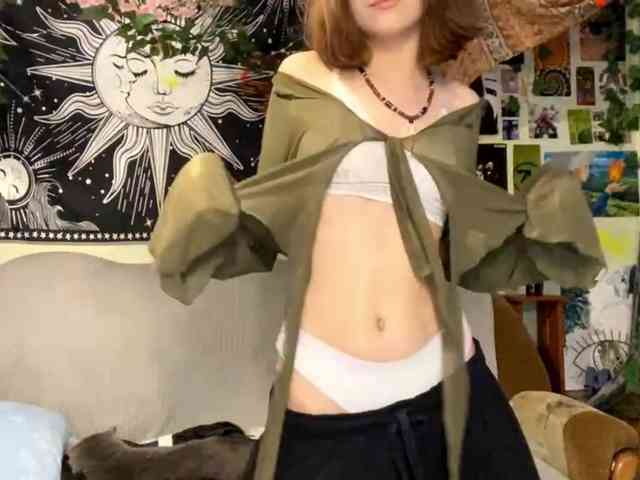 Modelo: PattiBingle