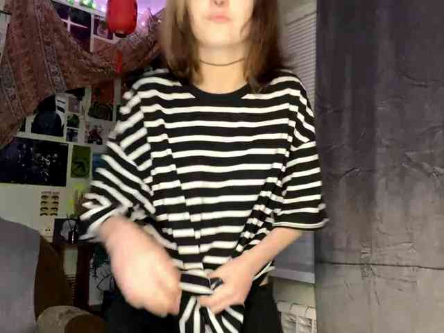 Modelo: PattiBingle