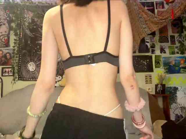 Modelo: PattiBingle