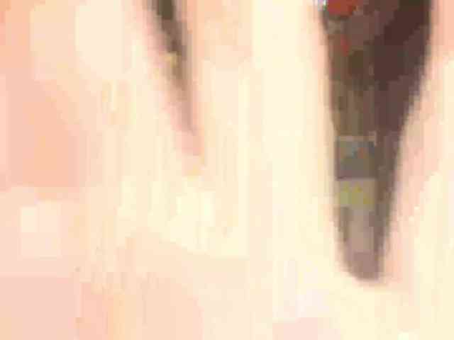 PattiBingle webcam