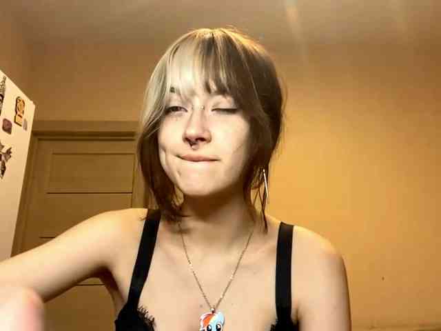 Modelo: PattiBingle