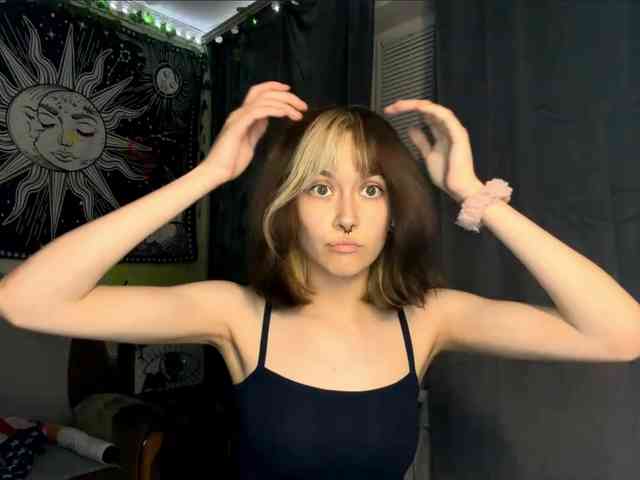 Modelo: PattiBingle