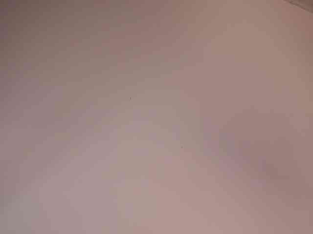 LisetteLuxe webcam